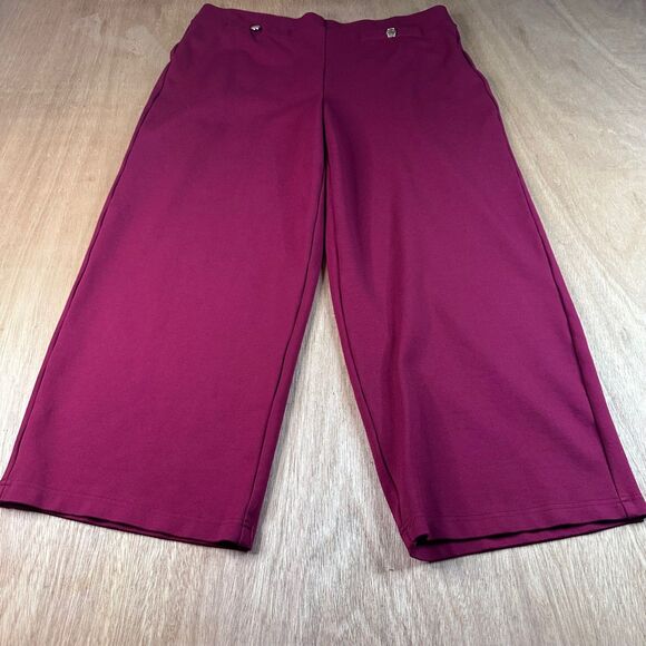 Autres Filles Pants - Autres Filles Women’s Dark Red Wide Leg Cropped Pants L/G Stretch Winter Career